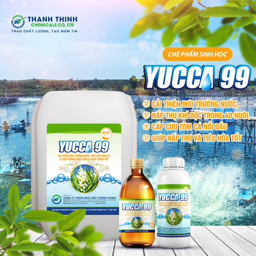 Water Treatment and Improvement