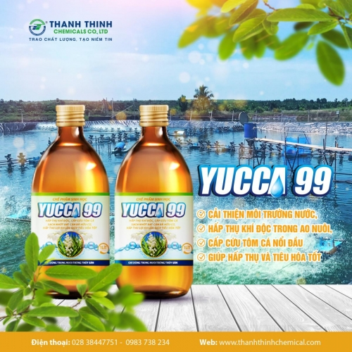 YUCCA®99 (1 lít/chai thủy tinh) - Chế phẩm sinh học xử lý môi trường nước, bổ sung vào thức ăn cho tôm cá