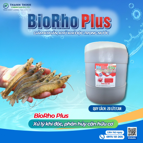 BioRho Plus (20L/can) - Phân hủy cặn bã hữu cơ, cải thiện môi trường nước. Giảm khuẩn, khử khí độc trong nước